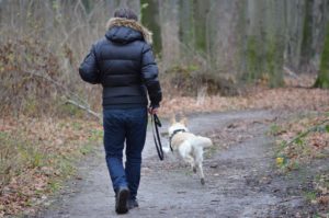 jogging with dog