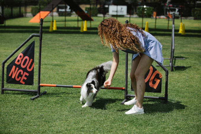 trainer